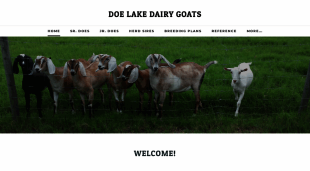 doelakedairygoats.com