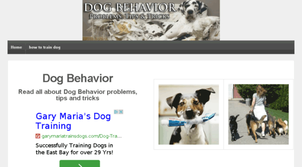 dog-behavior.info