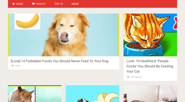 dog-nes.com