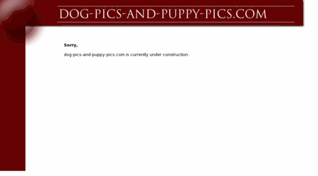 dog-pics-and-puppy-pics.com