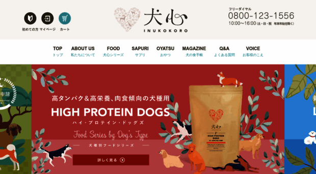 dog-to.com