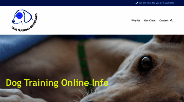 dog-training-online.info