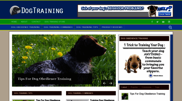 dog-training.online