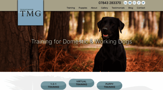 dog-training4u.co.uk