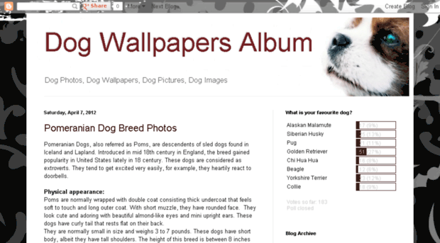 dog-wallpapers-album.blogspot.in