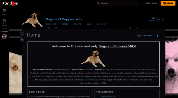 dog.fandom.com