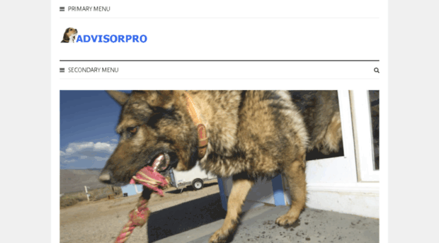 dogadvisorpro.com