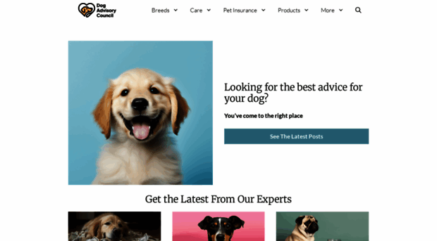 dogadvisorycouncil.com