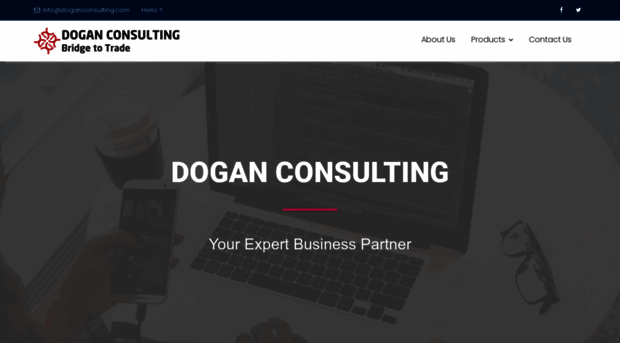 doganconsulting.com