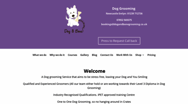 dogandbonegrooming.co.uk