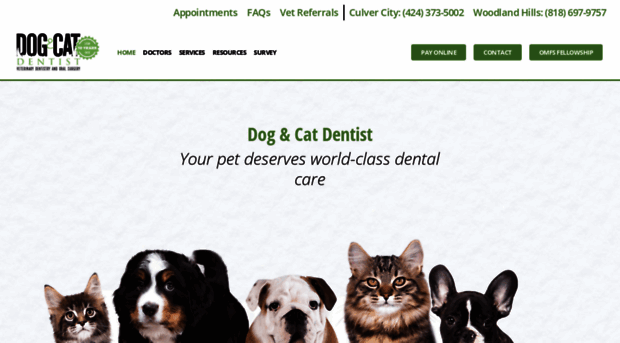 dogandcatdentist.com