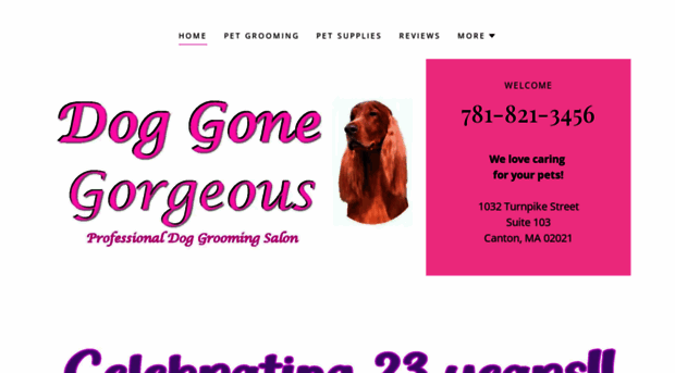 dogandcatgroomingma.com