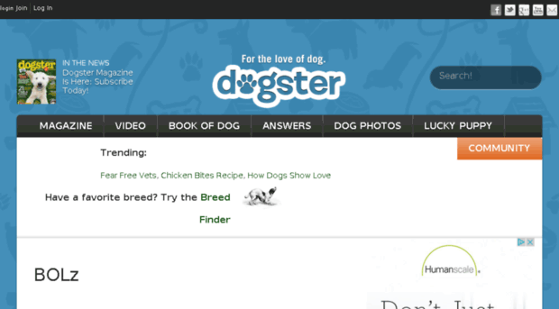 dogatar.com