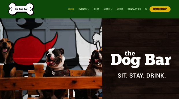 dogbarstpete.com