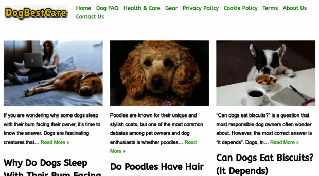 dogbestcare.com