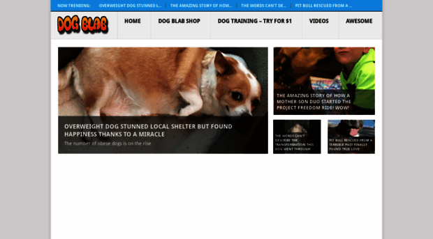 dogblab.com