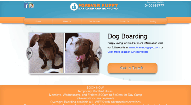 dogboardingmissionviejo.com
