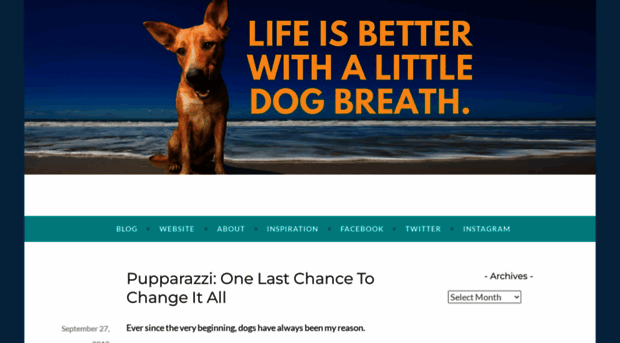 dogbreathblog.com