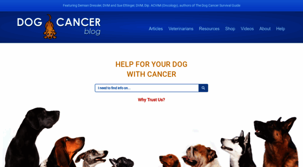 dogcancerblog.com