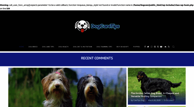 dogcaretips.net