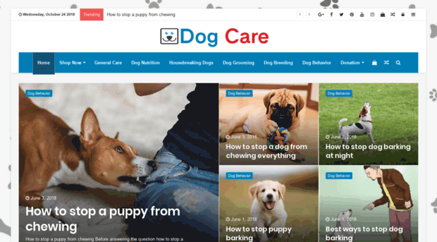 dogcareworld.net