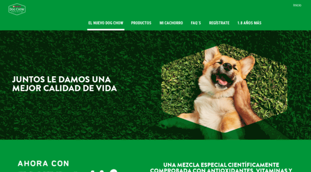 dogchow.com.mx