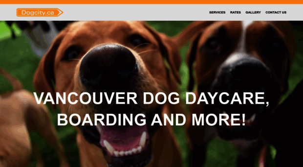 dogcity.ca