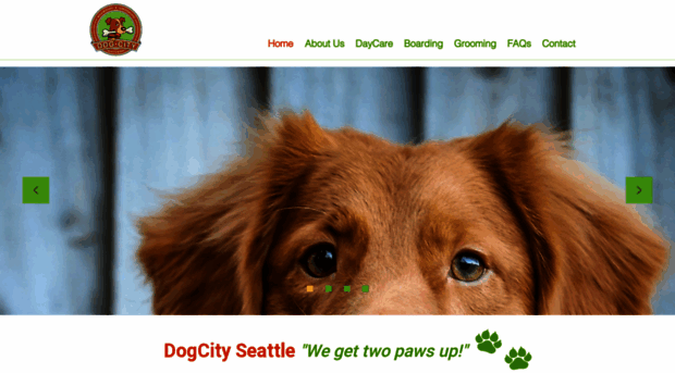 dogcityseattle.com