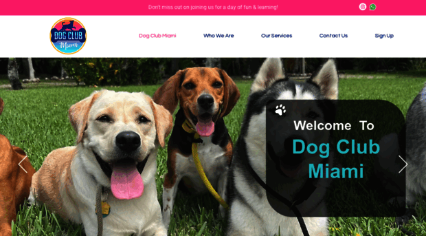 dogclubmiami.com