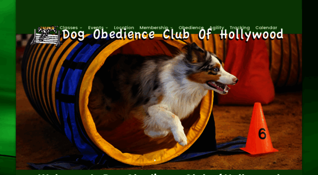 dogclubofhollywood.com