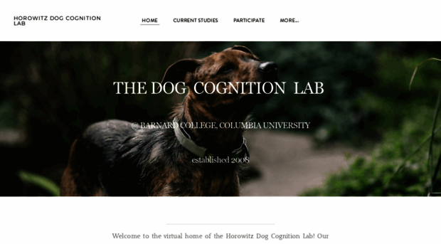 dogcognition.weebly.com