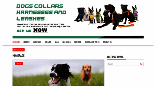 dogcollarsharnessesandleashes.com