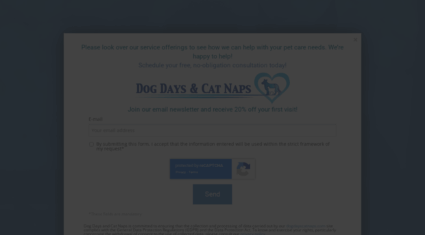 dogdayscatnaps.com