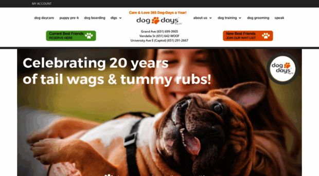 dogdaysinc.com