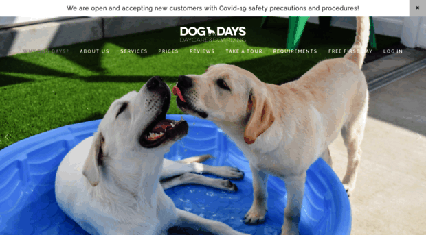 dogdayssandiego.com