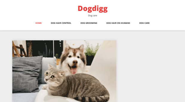 dogdigg.com