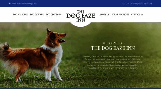 dogeazeinn.com