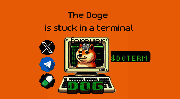 dogeinterminal.com