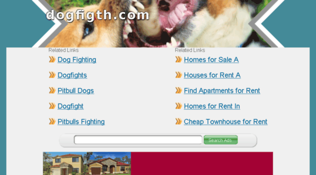 dogfigth.com