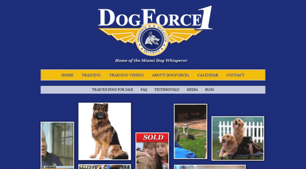 dogforce1.com