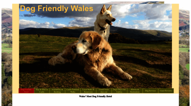 dogfriendlywales.com