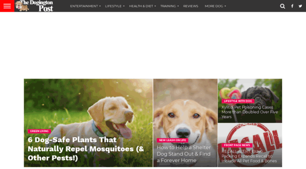 doggingtonpost.com