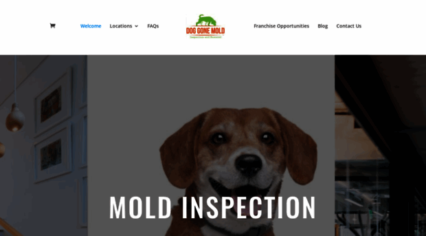 doggonemold.com