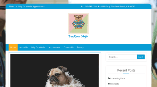 doggonestylin.com