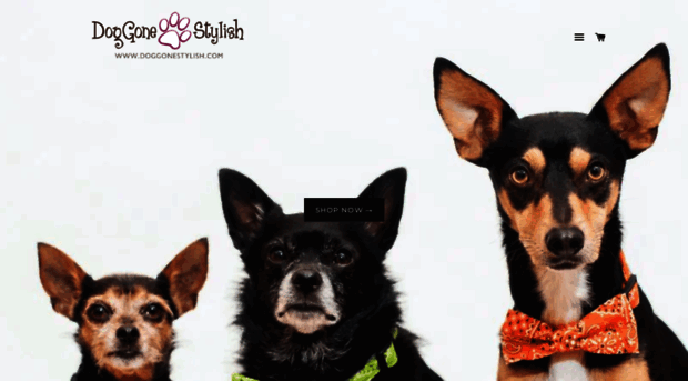 doggonestylish.com