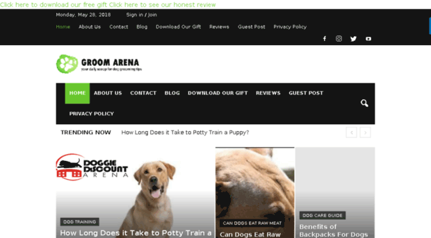 doggroomarena.com