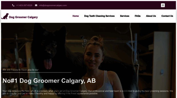 doggroomercalgary.com