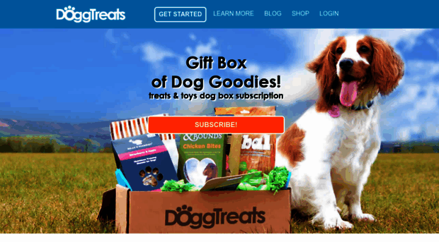 doggtreats.com