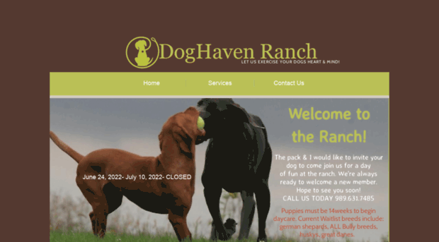 doghavenranch.com