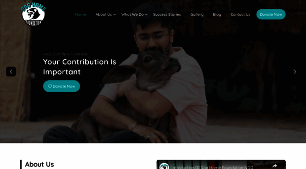 doghomefoundation.com